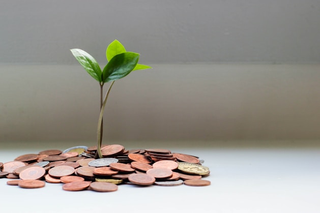 Green/Sustainable financing