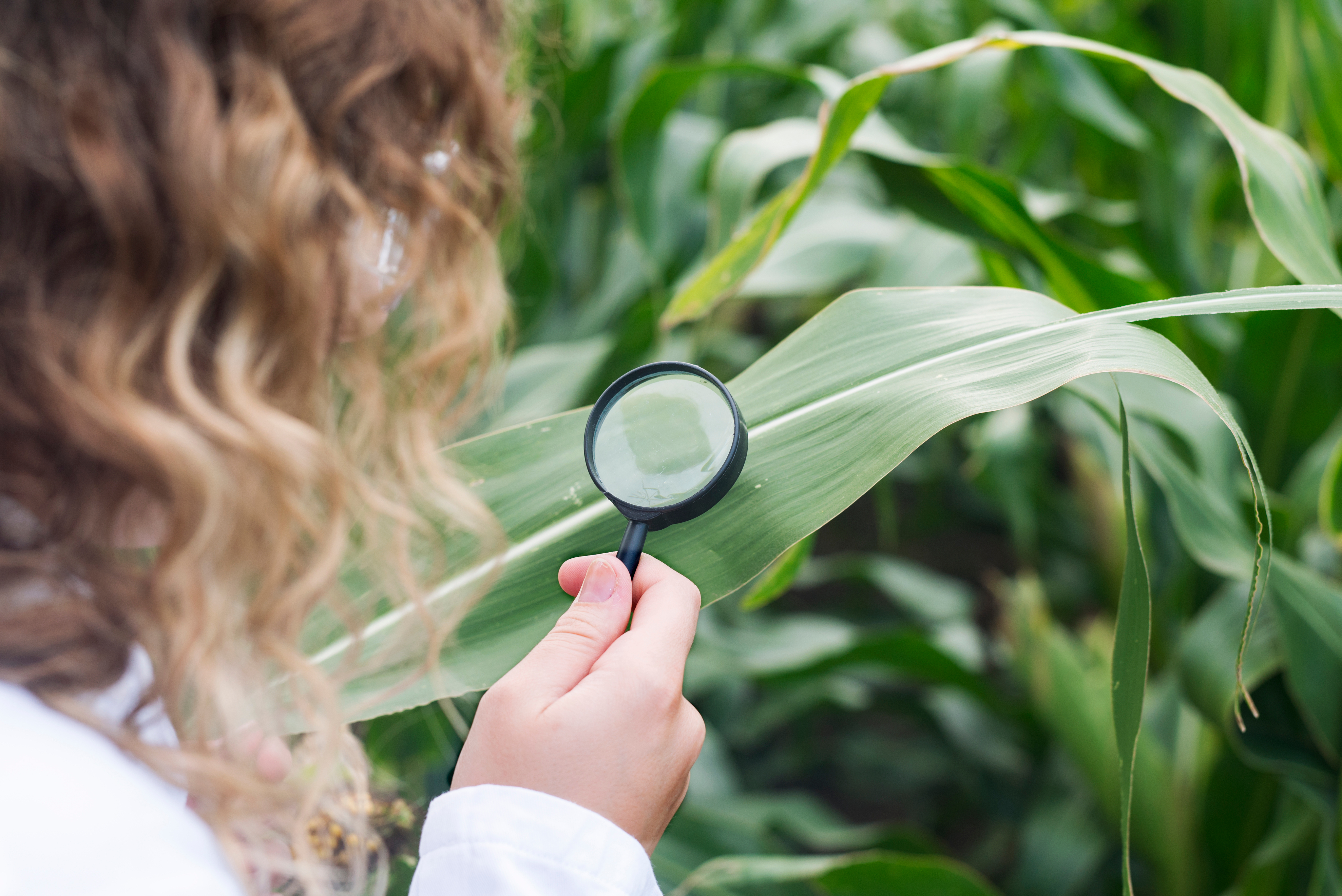 Identify climate and nature projects