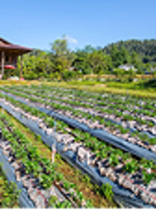 Sustainable agriculture