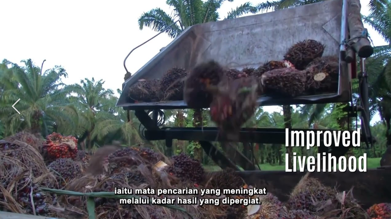 SME Green Video: Green Certification 